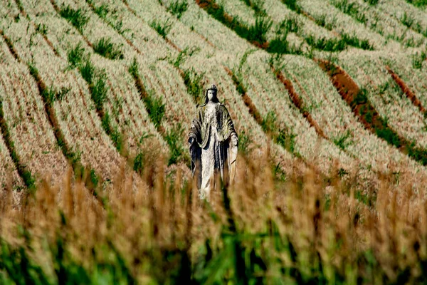 Статуя Діви Марії Сільськогосподарському Полі Польщі — стокове фото