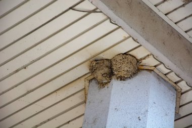 Trencin 'deki eski kasaba