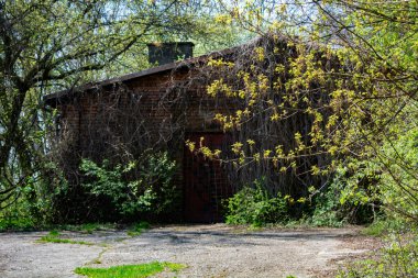 Birinci Dünya Savaşı 'ndan kalma kale Polonya' da.