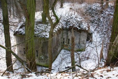 Birinci Dünya Savaşı 'ndan kalma kale Polonya' da.