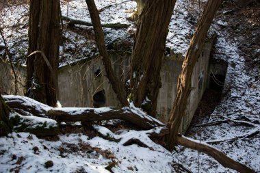 Birinci Dünya Savaşı 'ndan kalma kale Polonya' da.
