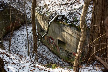 Birinci Dünya Savaşı 'ndan kalma kale Polonya' da.