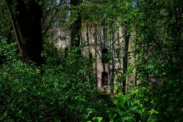 Birinci Dünya Savaşı 'ndan kalma kale Polonya' da.