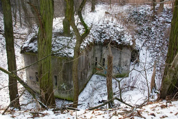 Birinci Dünya Savaşı 'ndan kalma kale Polonya' da.