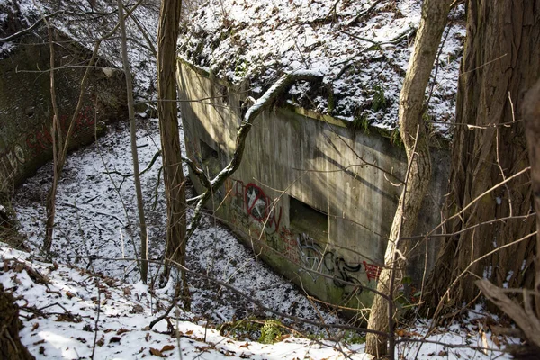 Birinci Dünya Savaşı 'ndan kalma kale Polonya' da.