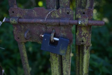 Büyük Dük 'teki Yahudi mezarlığı