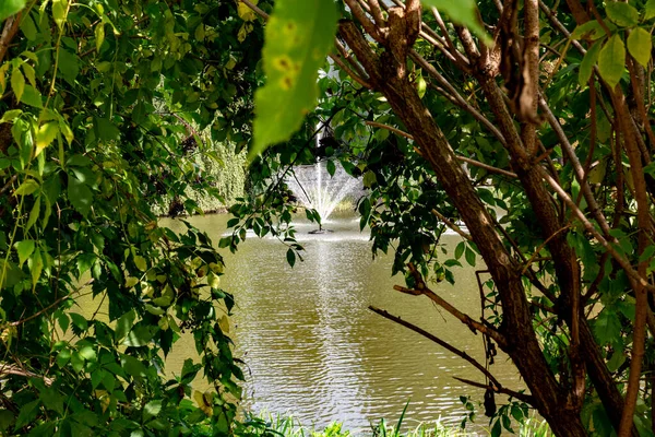 Fountain Park Lake — Stock Photo, Image