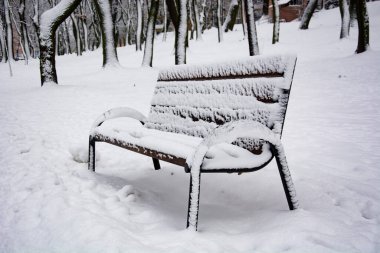 Kışın şehir parkı
