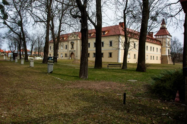 Vecchio Castello Polonia — Foto Stock