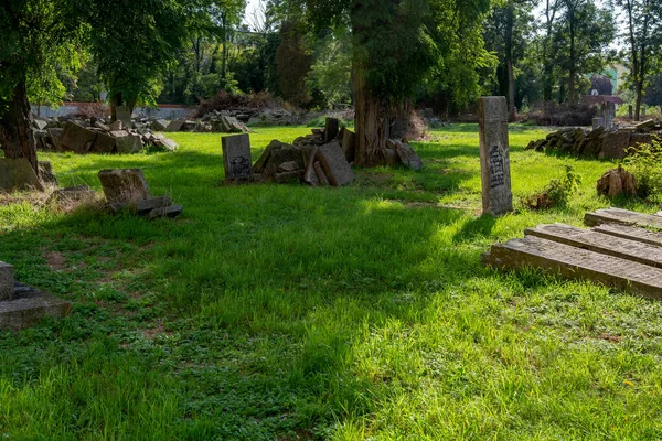 Judisk Kyrkogård Kalisz — Stockfoto