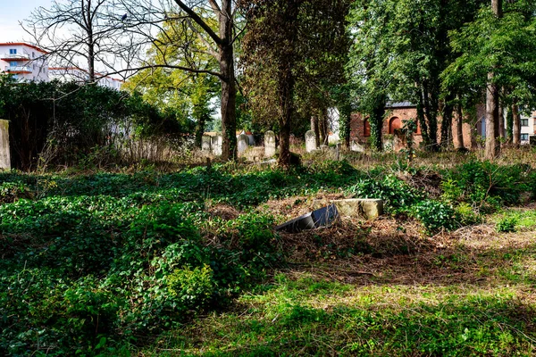 Cmentarz Żydowski Kaliszu — Zdjęcie stockowe