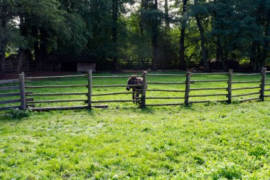 Polonya 'da bir ortaçağ şatosunun açık hava müzesi