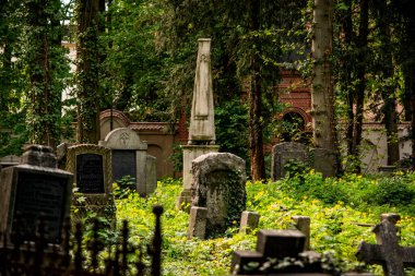 Polonya 'daki eski Evanjelik Mezarlığı