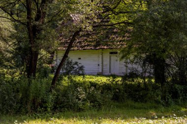 Eski Polonya köyünün manzarası
