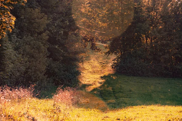 秋天的自然色照片 — 图库照片