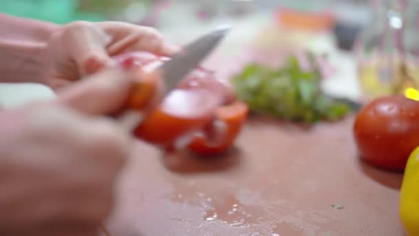 Kvinnors händer Närbild Klipp mogen tomat med kök kniv — Stockvideo