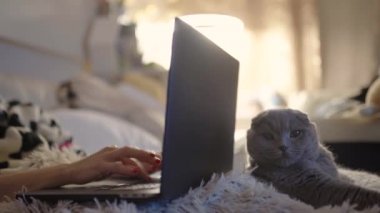 Kadın el tipik dizüstü bilgisayar klavye yatak odası. Kadın el tipik klavye yatakta kapatın. Sabah saat sohbet Online kız