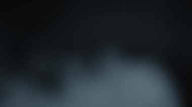 Ağır çekimde soyut beyaz duman. Duman, arka planda soğuk sis bulutu. Hafif, beyaz, sis, bulut, siyah arkaplan, 4k, buz dumanı bulutu. Yüzen sis.