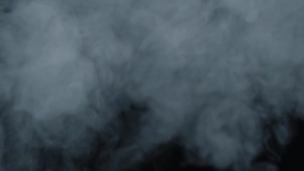 抽象的な遅い動きで白い煙。煙、スポットの背景に冷たい霧の雲。ライト、白、霧、雲、黒の背景、 4kは、氷の煙雲。浮遊霧. — ストック動画