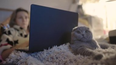 Beyaz kadın evde dizüstü bilgisayarda çalışıyor. Yanında yatağında yatan tembel bir kediyle. Uzaklık çalışması