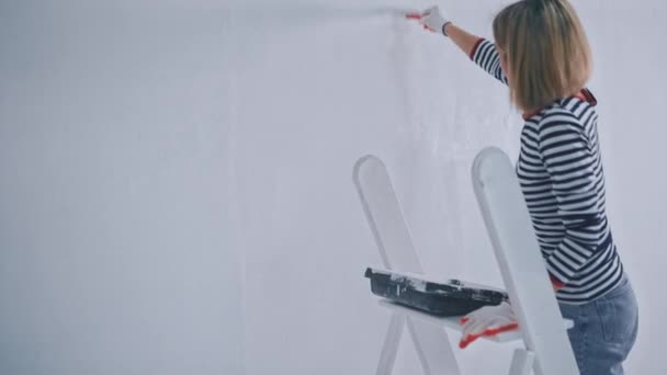 Γυναίκα ζωγραφίζει τον τοίχο με ένα πινέλο με λευκή μπογιά ενώ στέκεται στις σκάλες. έννοια ανακαίνισης — Αρχείο Βίντεο