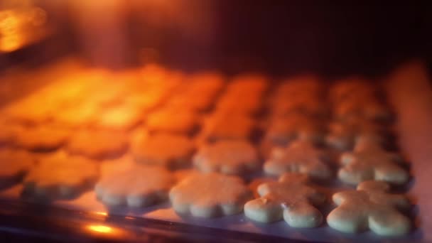 Galletas de jengibre de Navidad que se ponen en un horno. Movimiento lento — Vídeos de Stock