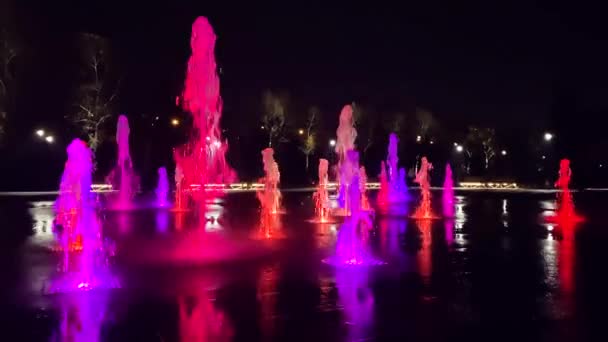 Illuminated and colorful fountain at night. Multi-coloured water jets — Stock Video