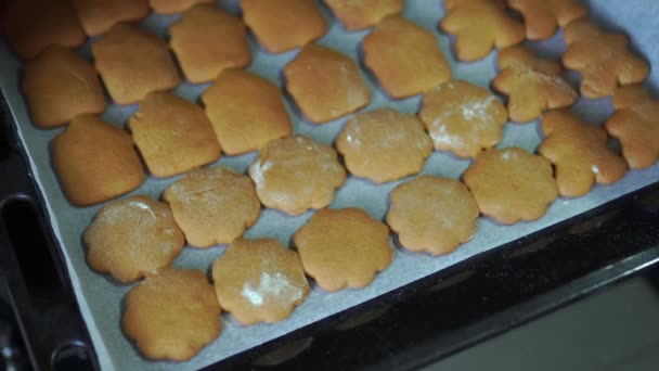 ベーキングシート上のオーブンから新鮮に作られたビスケットクッキー.クリスマスクッキージンジャー — ストック動画