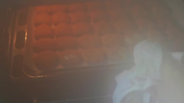 Nybakade kex kakor medan du ligger på en plåt från ugnen. Julkakor ingefära — Stockvideo
