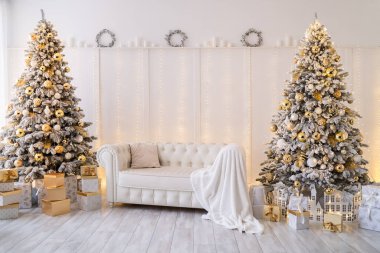 Beyaz oturma odasının içinde yeni yıl ağaçları, hediye kutuları ve modern kanepe var. Altın rengi