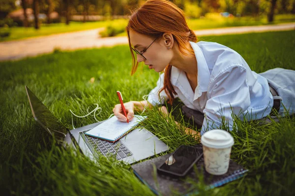 Дівчина-копірайтер робить нотатки, лежачи на траві в природному парку, використовує ноутбук ПК. мобільний офіс — стокове фото