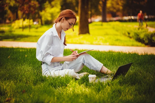 Студентська дівчина готується до іспитів за допомогою ноутбука робить нотатки, що сидять на траві. Концепція освіти — стокове фото