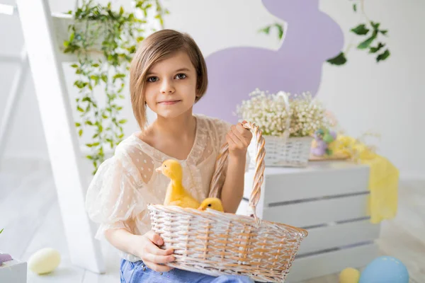 Portrait of little girl who holds basket with fluffy ducklings. Easter decorations. Happy Easter — Stock Photo, Image