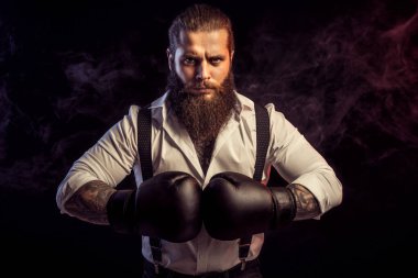 Young beared man stands in boxing gloves wears in white shirt on a dark background in the studio.