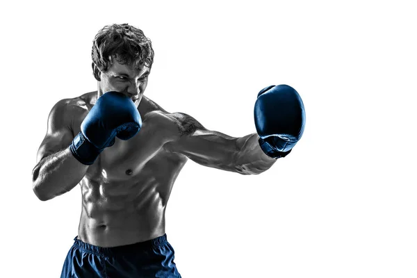 Retrato de boxeador que practica gancho izquierdo con guantes azules sobre fondo blanco. Torso blanco y negro — Foto de Stock