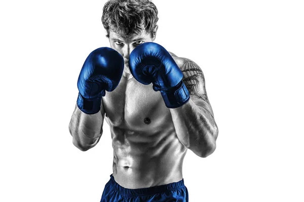 Retrato de boxeador em luvas azuis que fica em fundo branco. Silhueta em preto e branco — Fotografia de Stock