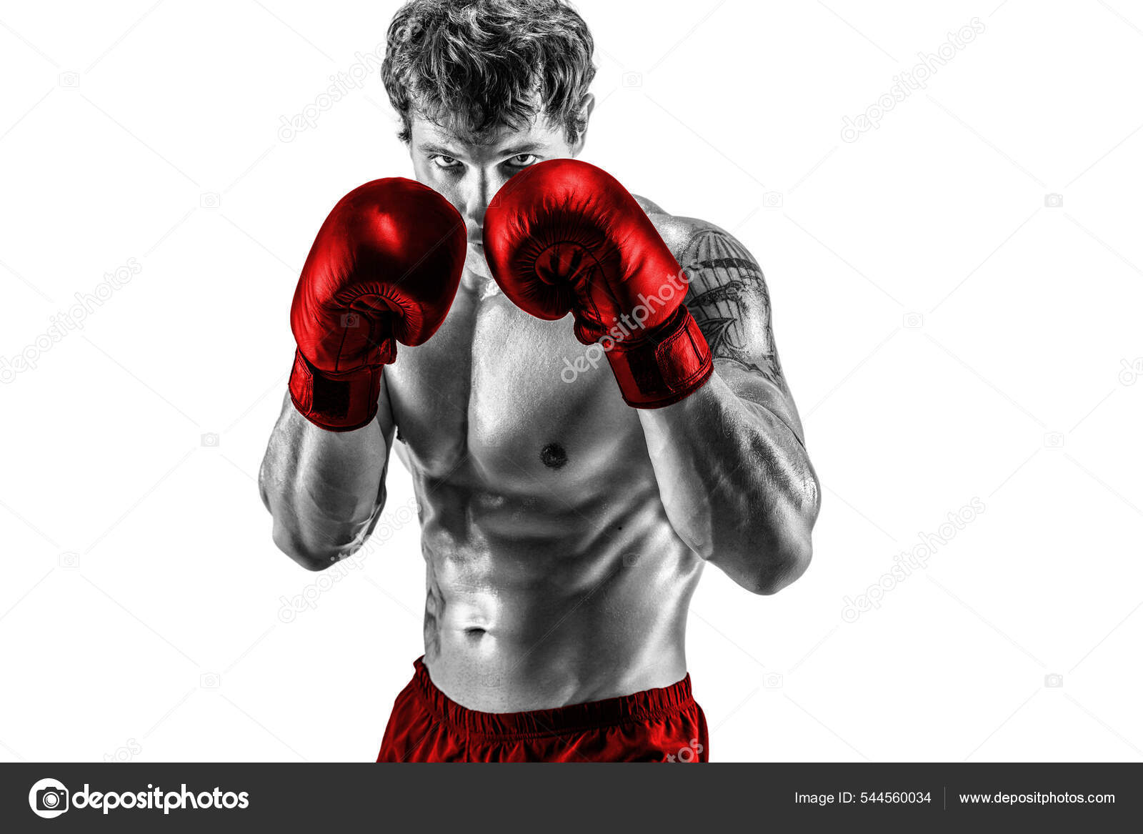 Retrato De Un Boxeador Hombre Fuerte Posando En Guantes De Boxeo. Luchador  Profesional Listo Para El Combate De Boxeo. Deportista Foto de archivo -  Imagen de salud, hermoso: 237969650