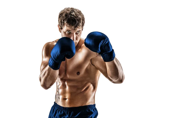 Media longitud de boxeador muscular en guantes azules que se encuentra sobre fondo blanco. Concepto deportivo — Foto de Stock