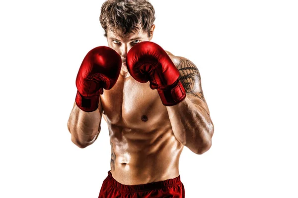 Retrato de boxeador musculoso en guantes rojos que se levanta sobre fondo blanco. Concepto deportivo — Foto de Stock