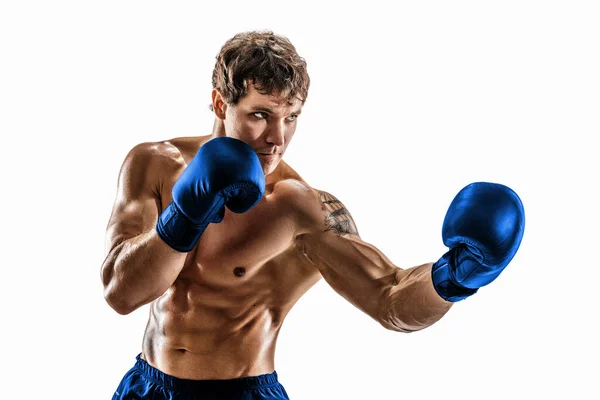 Retrato de boxeador musculoso que entrena y practica uppercut en guantes azules sobre fondo blanco. — Foto de Stock