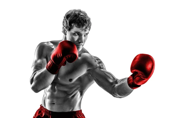 Студийный кадр боксера-силуэта, который тренируется, практикуется апперкот на белом фоне. Красные перчатки — стоковое фото