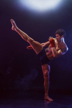 Duman arka planında kafasına tekme atan tam bir savaşçı. karışık ortam 