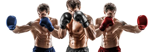 Creative collage of professional boxer who training isolated over white background. Sport concept — Stock Photo, Image