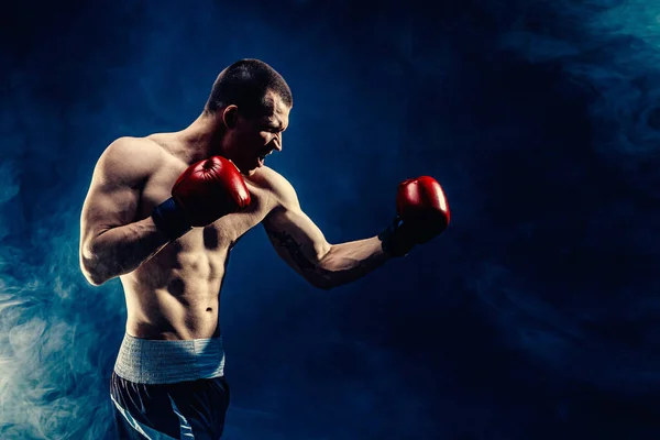 Vista lateral do atleta boxeador muscular que luta em fundo de fumaça preta. Conceito de desporto de boxe — Fotografia de Stock