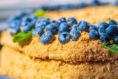 Fragments of Homemade honey cake decorated with blueberry.