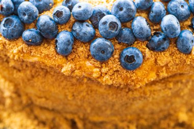 Fragments of Homemade honey cake decorated with blueberry.