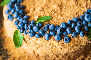 Fragments of Homemade honey cake decorated with blueberry.