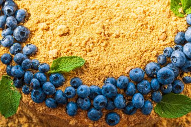 Fragments of Homemade honey cake decorated with blueberry.