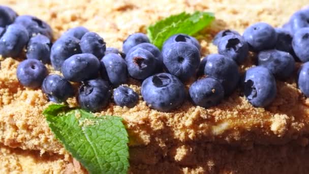 Kue Madu Buatan Sendiri Yang Dihiasi Dengan Blueberry — Stok Video