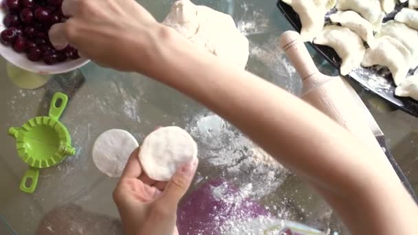 女性はロール生地にチェリーを置きます 餃子の調理 — ストック動画